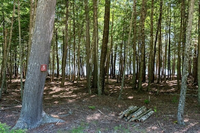 lot 5 Black Cat Point, Princeton, ME 04668 - photo 4