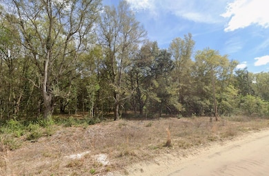 0 Maltas Ave unit 25650358, Interlachen, FL 32148 - photo 6