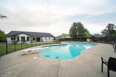 Rear Yard and pool