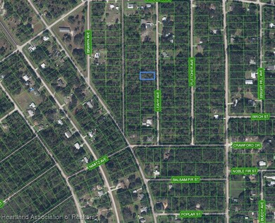 446 Leahy Ave, Lake Placid, FL 33852 - photo 3