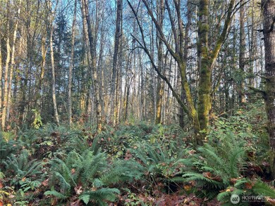 1 XX View Dr NE, Poulsbo, WA 98370 - photo 6