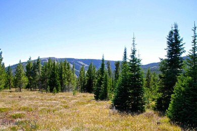 TBD Swift Bear Lot 245, Big Sky, MT 59716 - photo 6