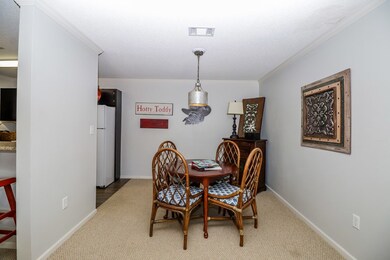 4008 Private Road 3057, Oxford, MS 38655 - photo 5