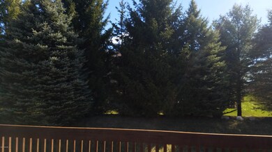 view from the deck