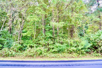 0 Chincoteague Rd unit 5, Chincoteague, VA 23337 - photo 5