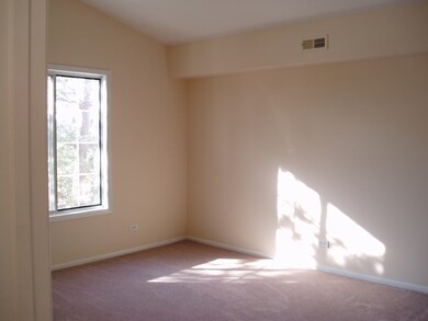 1745 Chesapeake Ln unit 70158, Schaumburg, IL 60193 - photo 7