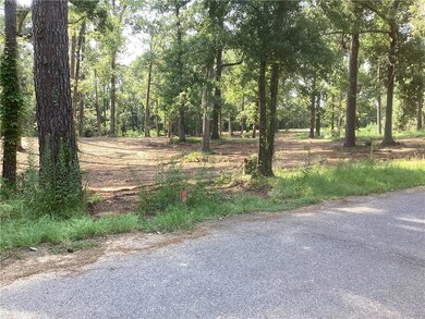 0 Amelia Lot 14 Ln unit 2487037, Boyce, LA 71409 - photo 4