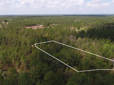 DJI_0010_100_orbit4_border