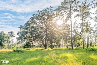 0 Steelwood Ridge Dr unit 24163208, Loxley, AL 36551 - photo 5