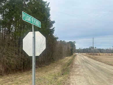 TBD Pleasant View Church Rd, Nichols, SC 29581 - photo 2