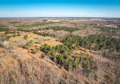 000 Deason Drive-Tract 2, Licking, MO 65542 - photo 7