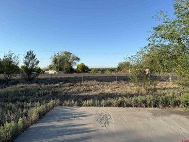 1475 and Tbd Highway 50, Delta, CO 81416 - photo 5
