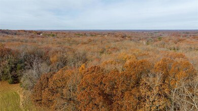 0 County Road 5320 (Tract C), Rolla, MO 65401 - photo 5