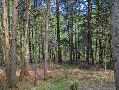 14 Brickyard Rd, Dover, VT 05341 - photo 5