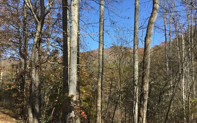 Additional View