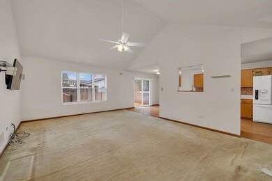 916 Cottonwood Dr, Elwood, IL 60421 - photo 5