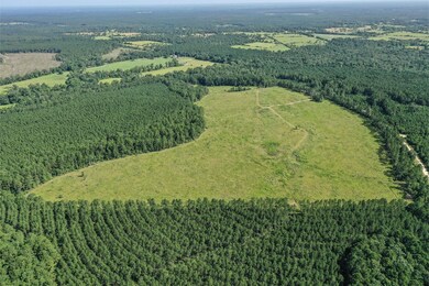 878 Joe Hudson Rd, Trinity, TX 75862 - photo 7