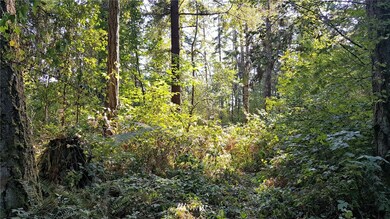 0 128th Ave E unit 1195099, Graham, WA 98338 - photo 3