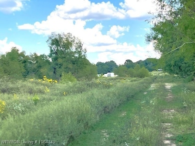 1250 Elder Branch Rd, Hackett, AR 72937 - photo 5