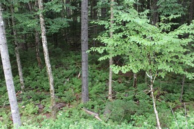 IMG_0148