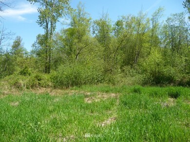 23919 4th Ave NW, Stanwood, WA 98292 - photo 5