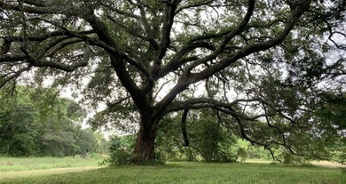 11658 County Road 190, Alvin, TX 77511 - photo 7