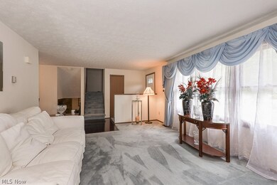 669 Sherwood Dr, Aurora, OH 44202 - photo 4