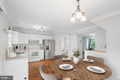 207 Langdon Farm Cir unit 83, Odenton, MD 21113 - photo 7