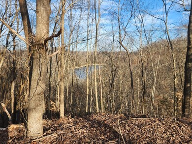 1 Antler Dr, Smithville, TN 37166 - photo 5