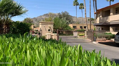 IMG_6015