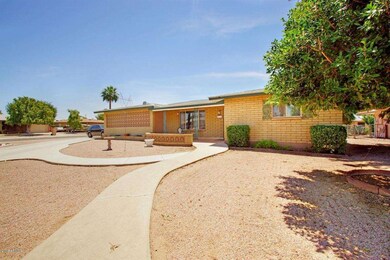 Low Maintenance front yard