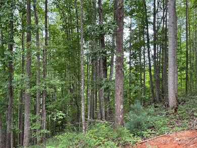 2.01 acres, Lot 971 Soaring Top Ln unit 971, Lenoir, NC 28645 - photo 2