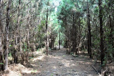 ... Liberty White Ln, McComb, MS 39648 - photo 4