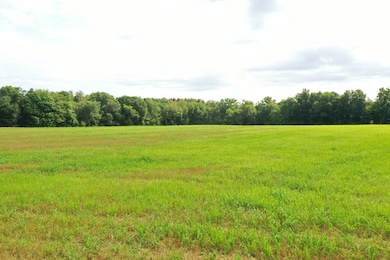 0 Fox Rd, Lexington, OH 44907 - photo 3