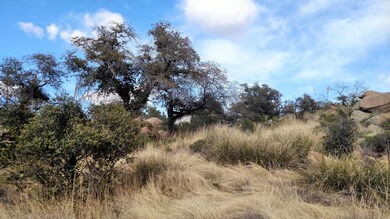 IMG_20160308_161117580