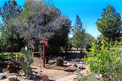 Backyard Views