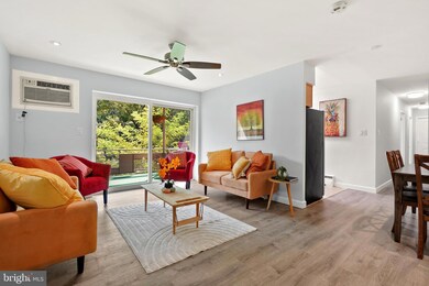 7718 Maple Ave unit 3, Takoma Park, MD 20912 - photo 5