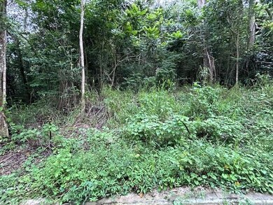 0 Campo Nuevo-Azucena 2 unit MFRPR9111923, Vega Alta, PR 00692 - photo 3