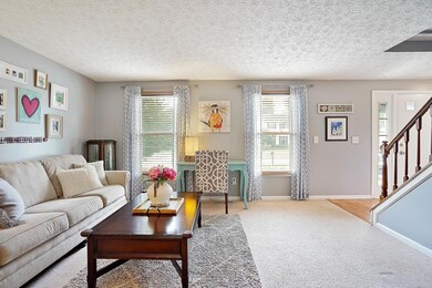 19_DSC05351_mls