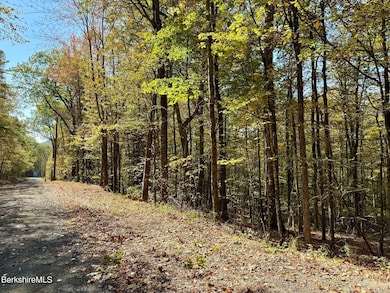 0 Potters Rd unit 248445, Charlemont, MA 01339 - photo 4