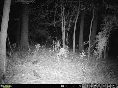 TBD Aunt Margies Rd, Greensburg, LA 70441 - photo 6