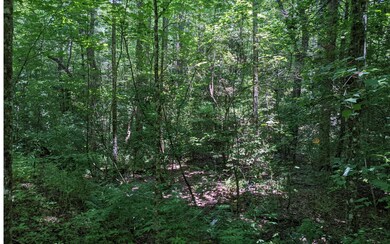 Additional View
