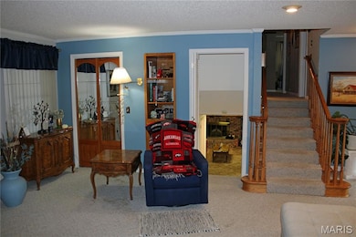 3905 Missouri 21, Doniphan, MO 63935 - photo 5