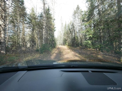 TBD Asumaa Rd, Atlantic Mine, MI 49905 - photo 7