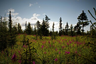 C13 Alaskan Wildwood Ranch, Nikolaevsk, AK 99556 - photo 5