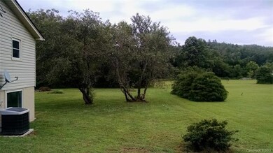 LARGE APPLE TREES & BLUE BERRY BUSHES that produce
