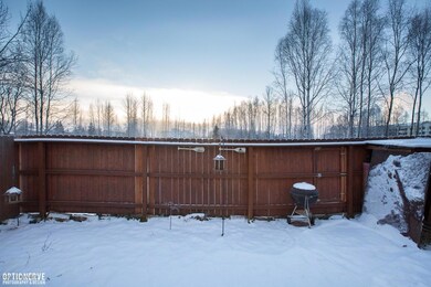 Back yard!