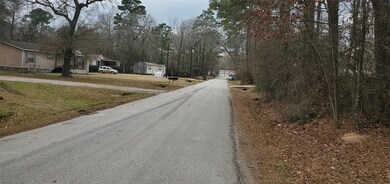 26451 E Christine Dr, Splendora, TX 77372 - photo 7