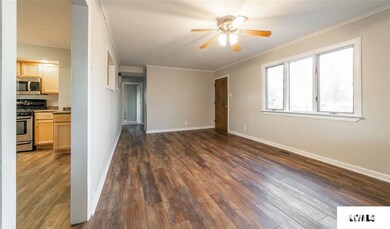 145 Mayfair Dr, Lincoln, IL 62656 - photo 4