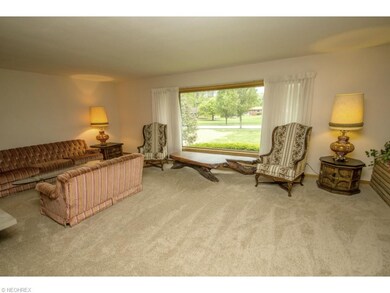 Living Room with New Neutral Carpet (5/15)